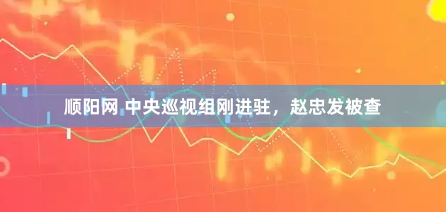 顺阳网 中央巡视组刚进驻，赵忠发被查