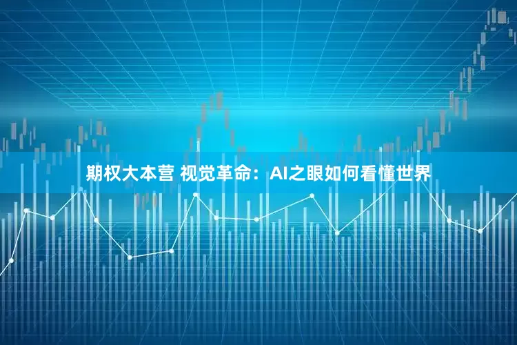 期权大本营 视觉革命：AI之眼如何看懂世界