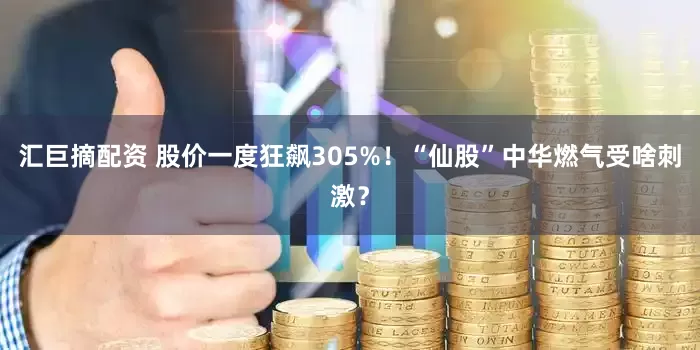 汇巨摘配资 股价一度狂飙305%!“仙股”中华燃气受啥刺激?