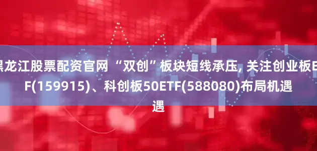 黑龙江股票配资官网 “双创”板块短线承压, 关注创业板ETF(159915)、科创板50ETF(588080)布局机遇