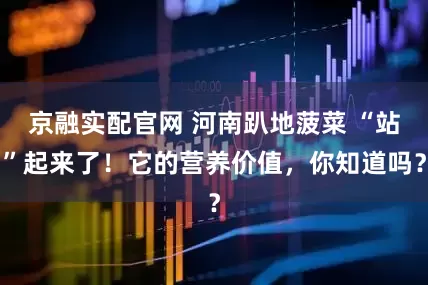京融实配官网 河南趴地菠菜 “站”起来了！它的营养价值，你知道吗？